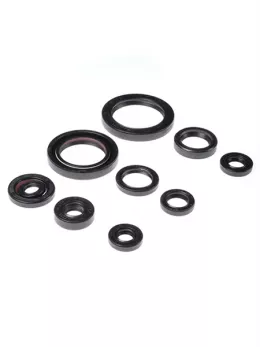 Комплект сальников двигателя BWX Honda CRF150R 07-22 (822332)