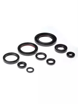 Комплект сальников двигателя BWX Honda TRX450ER 06-14, TRX450R 06-09 (822312)