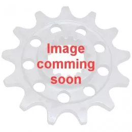 Звезда ведущая CST579