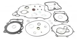 Полный комплект прокладок с сальниками KTM EXC-F450 Six Days 17-19 # EXC-F500 17-20 # HSQ FE501 17