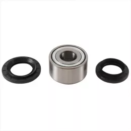 Подшипники колеса комплект 25-1734