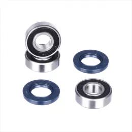 Комплект подшипников и сальников заднего колеса CH25-1033