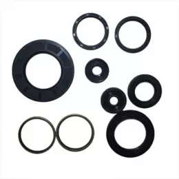 Комплект сальников двигателя