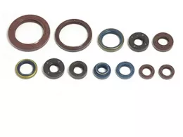 Комплект сальников двигателя